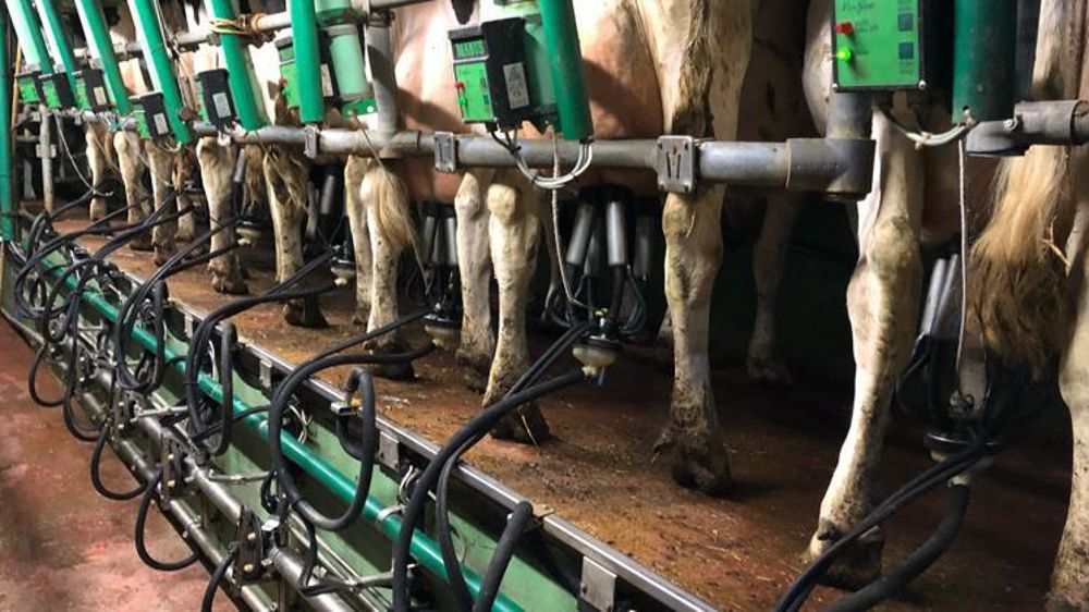 En France, la reprise de la collecte en août a été interrompue début octobre, suite à l’incendie de l’usine Lubrizol à Rouen. © V. Guyot